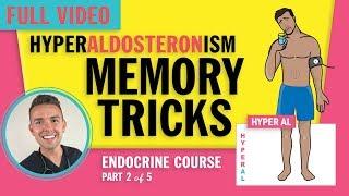 Endocrine | Hyperaldosteronism for NCLEX