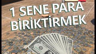 1 Senelik Birikim Ne Kazandırdı ? $$$