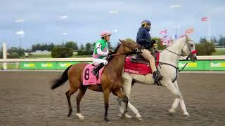 Gulfstream Park Replay Show | December 26, 2024