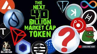 What's the NEXT 40 Billion Market Cap ALTCOIN to BUY NOW - SUI, ICP, KAS, FET, XLM, TRON, LINK, WIF?