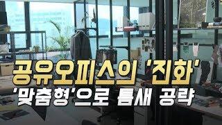 공유오피스의 '진화'…'맞춤형'으로 틈새 공략 / 머니투데이방송 (뉴스)