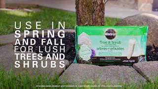 Miracle-Gro® Tree & Shrub Plant Food Spikes