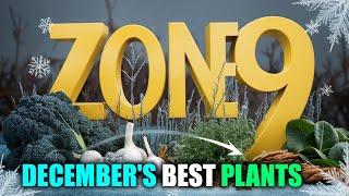 December's BEST Zone 9 Plants for a Thriving Winter Garden