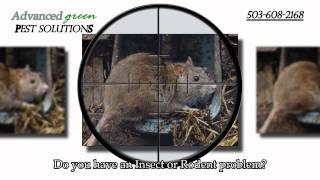 Advanced Green Pest Solutions 503-608-2168