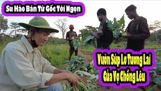 Vợ Chồng Lêu hoàn thành vườn Súp Lơ||Tony Phong thu hoạch Bội nông sản Việt|| 2Q Vlogs