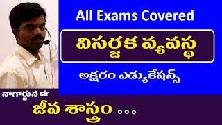 విసర్జక వ్యవస్థ || Biology Classes in Telugu || General Science Classes All Exams Covered