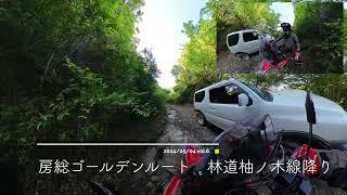 CRF250RALLY 房総林道ツーリング ゴールデンルート⑥ 林道柚ノ木線 降り2024/05/04