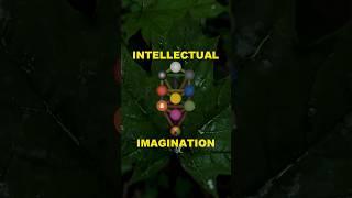 Hod The Intellecual Imagination #Hod #sephiroth #magick #Occult #mercury #thoth