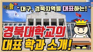 [경북대학교] 학과 소개! 역시 경북대 대표 학과는 이거지!