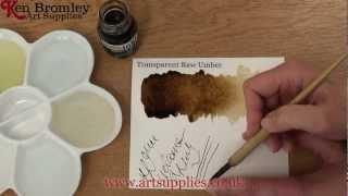 Liquitex Professional Acrylic ink! Transparent Raw Umber 333