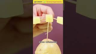 Top 4 best experiment to impress your friends  #shortvideos