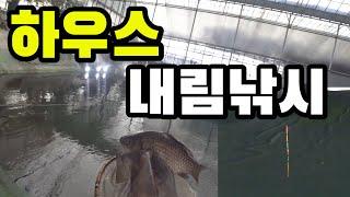 겨울철 하우스 내림낚시 찌맞춤 변경 후 대박? 붕어낚시 carp fishing