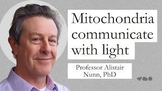 Alistair Nunn: Bioelectricity, Biophotons & Quantum Biology | Ricci Flow Nutrition Podcast