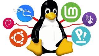 The Best Linux Distro for Programming