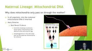 Maternal & Paternal Lineage: Maternal Lineage