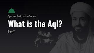 Ep. 7 | What is the Aql? What is the inter relationship between my Soul, Self, Heart and Intellect?