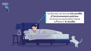 Les Cycles du sommeil