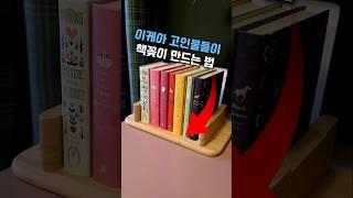이케아 고인물들이 책꽂이 만드는 법 #이케아추천템 #이케아책꽂이 #공간활용 #인테리어 #집꾸미기