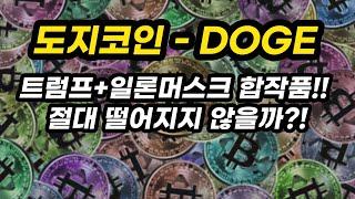 도지코인 - DOGE 투자포인트│트럼프+일론머스크 합작품!! 절대 떨어지지 않을까?!