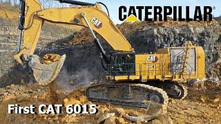 ***BRANDNEW*** Cat 6015