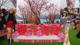 Cherry Blossom Garden#explore #cousins #cherryblossom#adventure #gena30hongkong