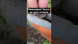 Коп в Чехії! #metaldetecting #коп #2024 #coin #поисксметаллоискателем #metaldetector #металошукач