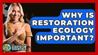 Why Is Restoration Ecology Important? - Ecosystem Essentials