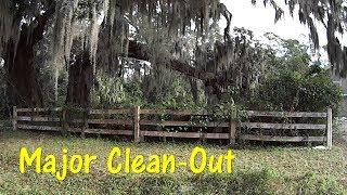 Mowing and Cutting Down / Cleaning Up a Very Overgrown Lawn and Property Ep 1