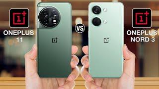 OnePlus 11 vs Oneplus Nord 3 - Full Comparison #oneplus11vsoneplusnord3 top annu