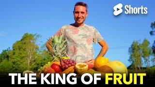 The King of Fruit. #144