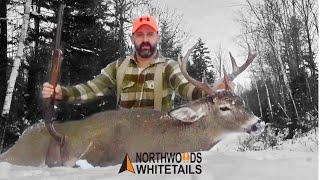 BUCK SHOT IN HIS BED | TRACKING IN MAINE   #hunting #tracking #deer