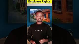 कर्मचारियों के लिए जरूरी कानून - labor rights in hindi | Employee rights #shorts