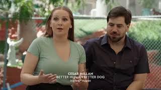 Cesar Millan: Better Human Better Dog | Starts