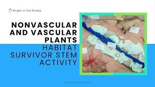 Nonvascular and Vascular Plants Habitat Survivor STEM Activity