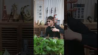 【直播回放】二餅.力哥.孫媛 二胡直播 Erhu Chinese Violin 2025.03.04