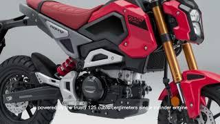 2025 Honda Grom 125 Review: The Ultimate Mini Moto Fun.