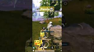 PANDA in PUBG  #pubgmobile #pubg #panda #Shorts