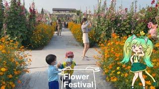 Taiwan: Yuanlin holds annual flower festival | 2022員林蜀葵花海│大埔蜀葵花海│大埔里運動公園》員林蜀葵花海開始了│萬株蜀葵花爭艷 │ 太陽と向日葵