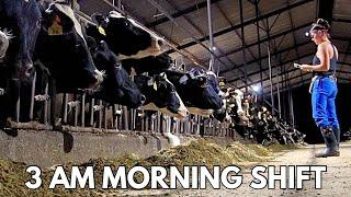 MORNING SHIFT on the DAIRY 