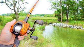 Pond Hopping for GIANT Bass (Bank Fishing)