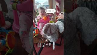 My 1st Christmas #xmas #lucy #viralvideo #shorts