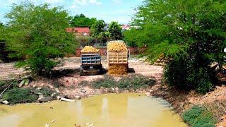 Delete Pond Project! Excellent Operating Of Pushing Stone Miniature Dozer & Truck 5TON Spreading