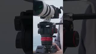 NEEWER TP75 74 Pro Video Tripod with Fluid Head