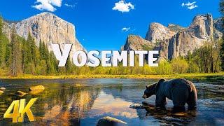 Yosemite National Park (4K UHD) Stunning Footage - Drone Nature Film With Epic Cinematic Music