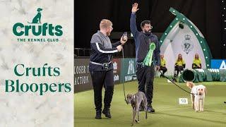 Dogs Doing Funny Things  The ULTIMATE Crufts Dog Bloopers