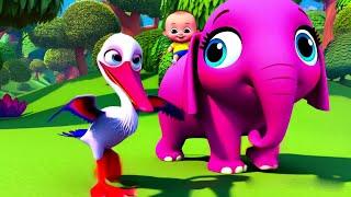 Riding Duck with Baby, Tiger & Monkey – Jungle Animal Fun Song | Kids Galaxy