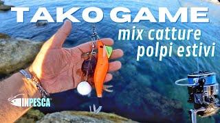 TAKO GAME • Mix di catture di POLPI ESTIVI con Tako Egi Essential e Polpara Artigianale [INPESCA®]