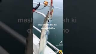 Amazing Unique Fish - Fishing #videos #shorts