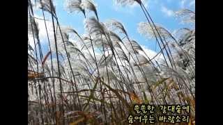 김연숙-숨어우는 바람소리