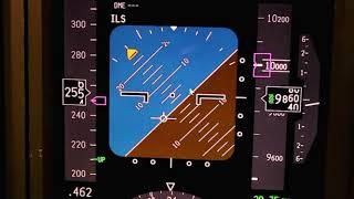 B737 steep turns common error!